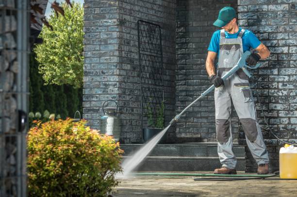 Best Graffiti Removal  in Premont, TX